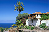 Icod de los Vinos, Teneriffa Kanarische Inseln, Spanien
