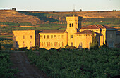 Weinfelder-Monasterio, de la Estrella, La Rioja, Spanien