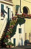 Treppe mit Blumen, Marciana Marina, Elba, Toskana Italien