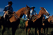 Gauchos zu Pferd, Esteros del Iberá, Corrientes Argentinien