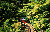 Diving Creek Railway, Coromandel, Nordinsel Neuseeland