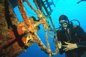 Taucher, Wrack der Hilma Hooker, Bonaire Niederlaendische Antillen