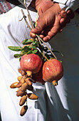 Datteln, Granatäpfel, Oase Tozeur Tunesien