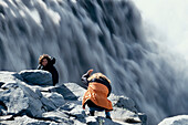 Touristen am Wasserfall Dettifoss, Norden Island