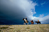 Reiter auf Islandpferden, Midfjord, Norden Island