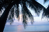7 Mile Beach, Sonnenaufgang, mit Mond, Grand Cayman Cayman Island, Karibik