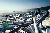 Treibholz, Wickaninnish Beach / Long, Beach, Pacific Rim, Vancouver Island British Columbia, Kanada