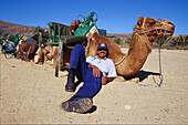 Kamelreiten, La Lajita, Fuerteventura, Kanarische Inseln, Spanien, Europa