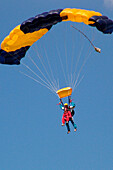 Sky divers at a tandem jump, Airport Gransee, Brandenburg, Germany, Europe