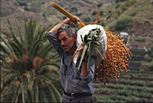 Bauer mit Datteln, Hermigua, La Gomera, Kanarische Inseln, Spanien