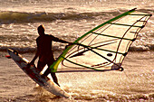 Sailboarder in the evening light, Cape Town, South Africa, Africa