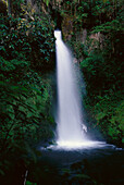 Waterfall, Rainforest, Tari Papua New Guinea