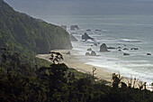 Coast area and beach in the fog, Knights Point, West Coast, Tasman Sea, South Island, New Zealand, Oceania