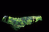 Honeycomb Caves, Oparara Valley, West Coast, South Island, New Zealand