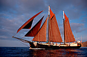 Segelschiff Adelaar, Sailing Ship, Tall Ship Adela, Tall Ship Adelaar