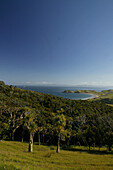 Landschaft bei Port Jackson, Cape Colville, Coromandel Halbinsel, Nordinsel, Neuseeland
