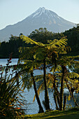 View of dormant volcano Mount Taranaki at Egmont National Park, North Island, New Zealand, Oceania