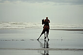 Rennpferd trainiert am Strand, graues Wetter, Strand Karioitahi Beach, südlich von Auckland, Nordinsel, Neuseeland