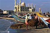 Fishermen and boats on the beach in front of mosque, Kovalam, Kerala, India