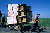 Umzug mit Wagen, Dali, Yunnan China
