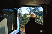Im Zug bei Divisadero, Ferrocarril de Chihuahua al Pacifico, Chihuahua, Mexico