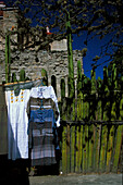 Kakteenzaun vor Kirche, Mitla, Valles Centrales, Oaxaca Mexico