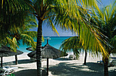 Palmenstrand, Hotel Royal Palm, Grand Baie Mauritius