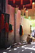 Souk der Färber, Marrakesch Marokko