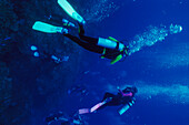 Diving, Carribian Sea