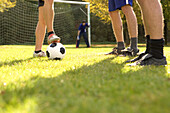 Young men preparing soccer ball for free kick