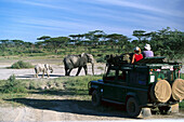 Afrikanische Elefanten, Jeep Safari, Serengeti Nationalpark, Tansania, Afrika