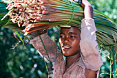 Young woman crop plants, Madagascar