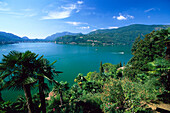 View from Sta. Maria del Sasso, Lago di Lugano Tessin, Switzerland