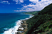 Rainforest at the coast, Victoria Australia