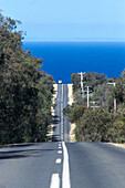 Road to Bell´s Beach, Victoria Australia