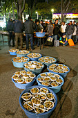 Homeless, Shinjuku Park, Tokyo, Japan, Friday night soup kitchen in Shinjuku Park Obdachlose, notdürftige Schutzbauten, Pappkarton-Architektur, Plastikplanen, Slum, Obdachlosigkeit, Randgruppe, Astronomical high rents have caused the homeless figures to r