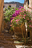 Lane with flowers, Monemvasia, Lakonia, Peloponnese, Greece