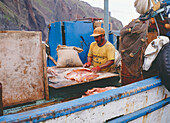 Fischerman salting freshly catched fish, Galapagos Islands, Ecuador