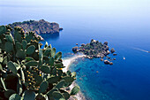 Blick auf Kakteen und Strand im Sonnenlicht, Isola Bella, Taormina, Sizilien, Italien, Europa