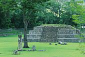Maya-Ruinen von Copán, Principal Group, Middle Plaza, Stela 3 Honduras