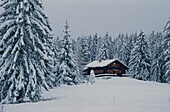 Blockhütte im Winter, Bayern, Deutschland