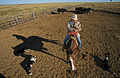 Damien Curr on horse, Ilfracombe, Australien, Queensland, Maltilda Highway, Cowboy, Damien Curr outback entertainer on his horse with dogs in a yard