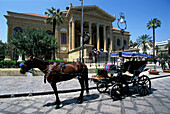 Horse drawn carriage in front of the Theatro Massimo, Palermo, Sicily, Italy, Europe