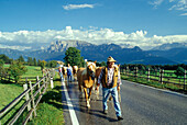 Farmer with horses, Ritten, Schlern South Tyrol, Italy