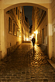 Nightly Alley, Vienna Austria