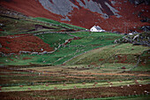 House in landscape, Donegal, Ireland