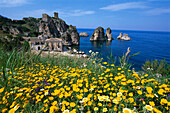 Gelbe Blumen und Landhaus an der Küste, Scopello, Sizilien, Italien, Europa