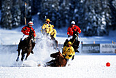 Sturtz beim Polospiel in St. Moritz, Graubuenden Schweiz