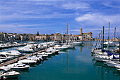 Hafen von Trani, Apulien, Italien