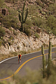 Rennradfahren, Apache Trail, Arizona, USA